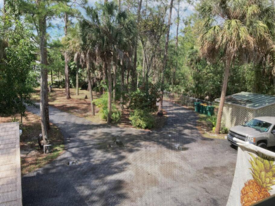 "Mia'S Place" Beautiful Private Apartment Surrounded By Nature North North Naples Buitenkant foto