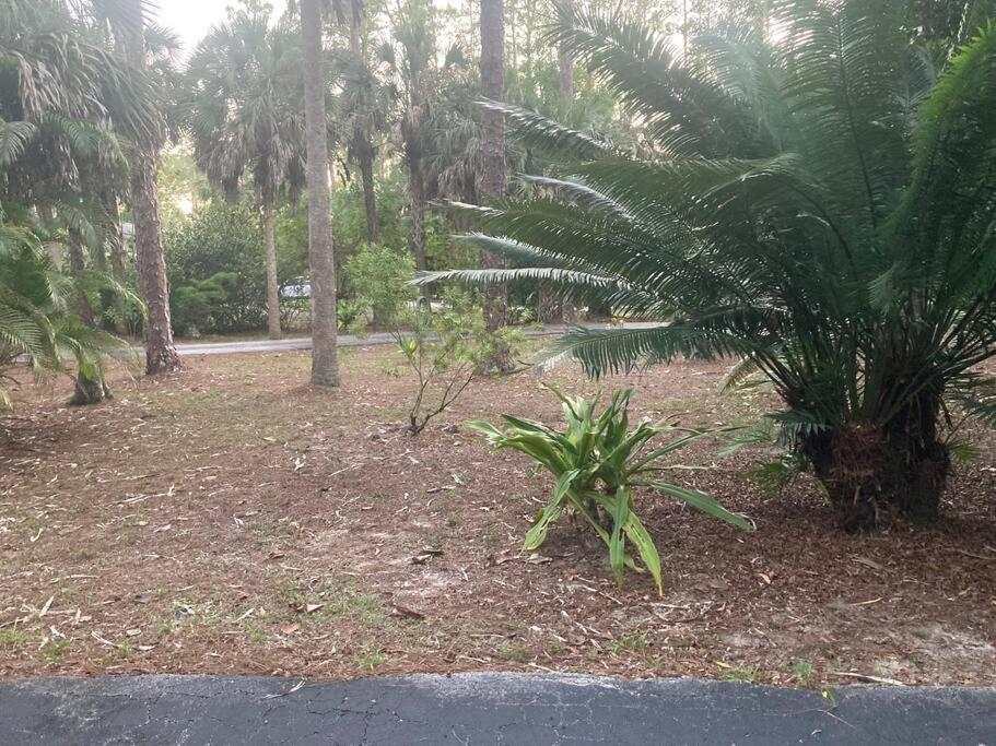 "Mia'S Place" Beautiful Private Apartment Surrounded By Nature North North Naples Buitenkant foto